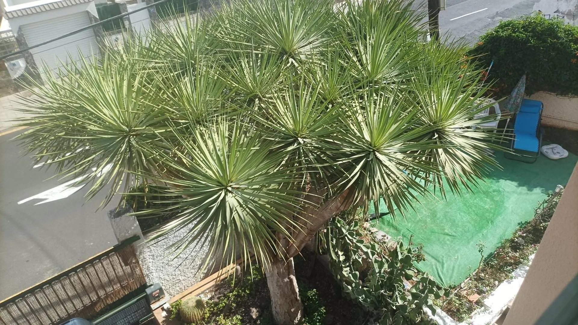 招待所 圣克鲁斯-德特内里费 Casa Quico 2酒店